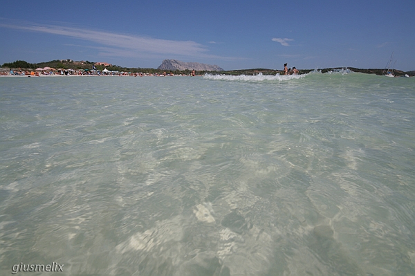 Cala Brandinchi - (IMG_2183rid).jpg